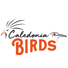 Calu00e9donia Birds